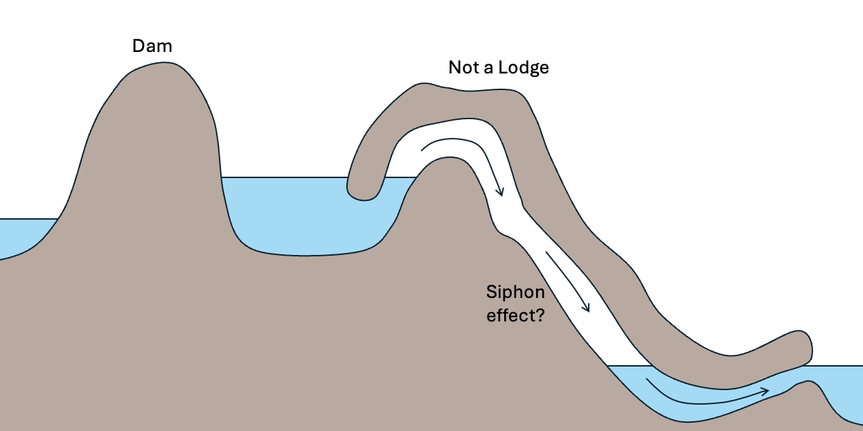 A similar picture to the above, but instead of the lodge, there is a beaver-built tunnel that acts as a siphon from one pond to a lower pond.
