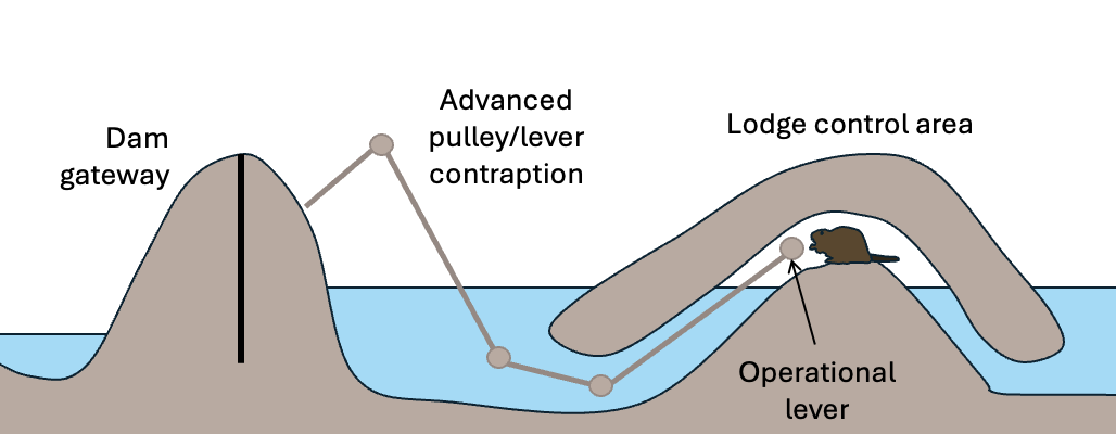 A diagram similar to the first one, with a dam and a lodge. However, the dam has a gate that can be opened, and there a series of levers leading into the lodge. The picture is caption 